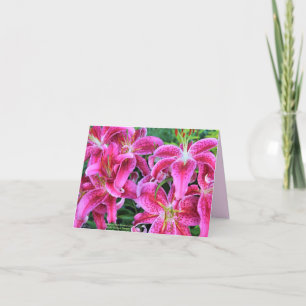 Stargazer Pink Oriental Lilies Note Cards