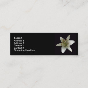 Stargazer Profile Card
