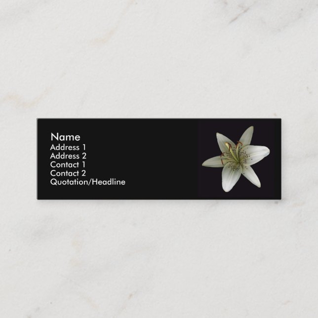 Stargazer Profile Card (Front)