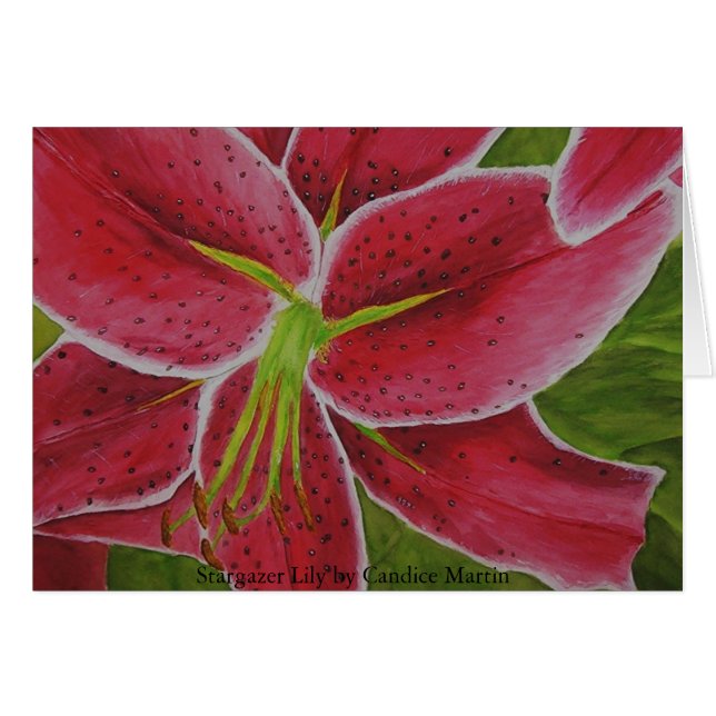 Stargazer, Stargazer Lily by Candice Martin (Front Horizontal)