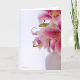 Stargazer white III Card