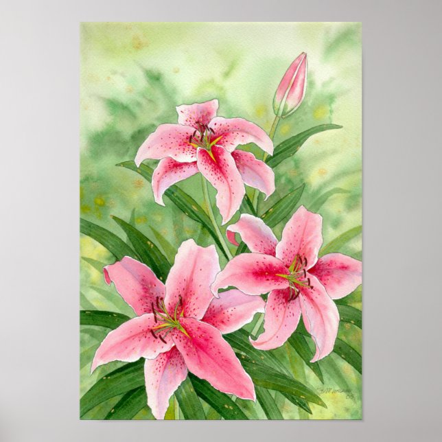 stargazerlilies print (Front)