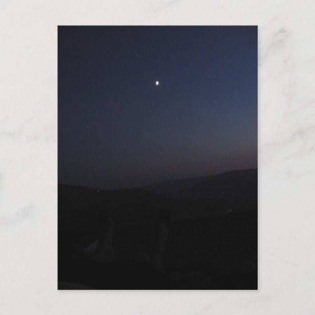 stargazing postcard (Front)