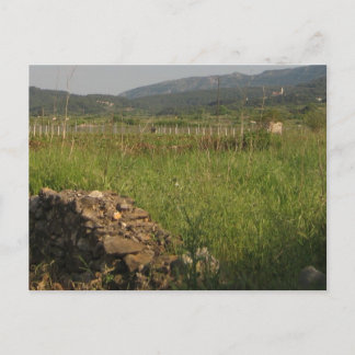 Stari Grad Plain Postcard