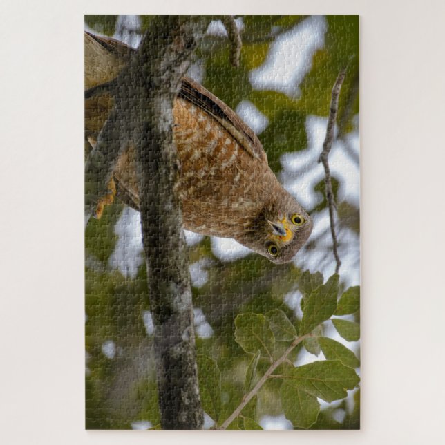 Staring Bird, Tropical Belise Roadside Hawk Jigsaw Puzzle (Vertical)