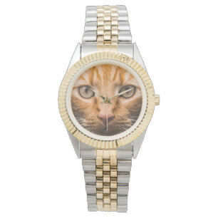 Staring Cat watches