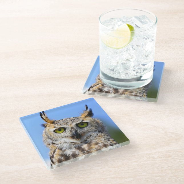 Staring Contest with a Beautiful Great Horned Owl Glass Coaster (Angled)