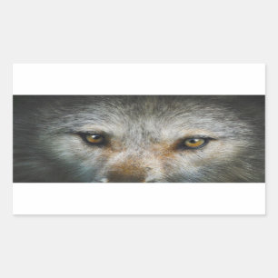 Staring Grey Wolf Eyes Wildlife Art Rectangular Sticker