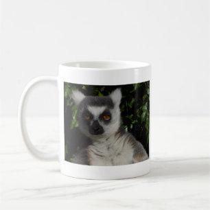 Staring Lemur Coffee Mug