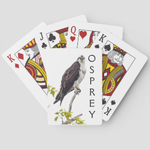 Staring Osprey Playing Cards