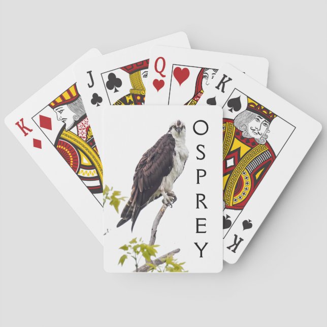 Staring Osprey Playing Cards (Back)