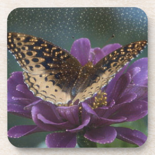 Starlight Butterfly Coaster
