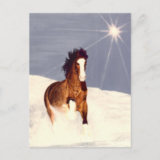 Starlight Run Postcard