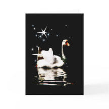 Starlight Swan