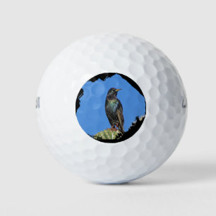 Starling and Saguaro Cactus Photo Southwest Golf Balls