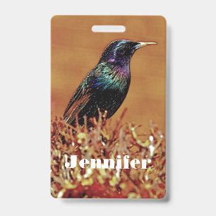 Starling Bird ID Badge