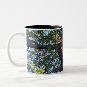 Starling Bird Mug