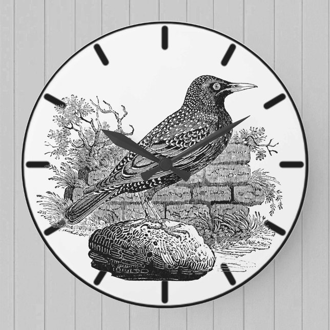 Starling British Bird Large Clock (Creator Uploaded)