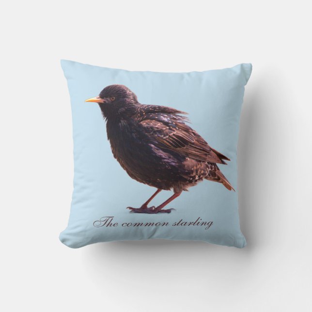 Starling  cushion (Front)