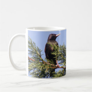 Starling in a Spruce Tree Custom Mug