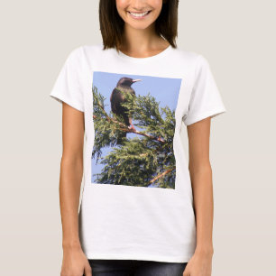 Starling in a Spruce Tree Ladies T Shirt
