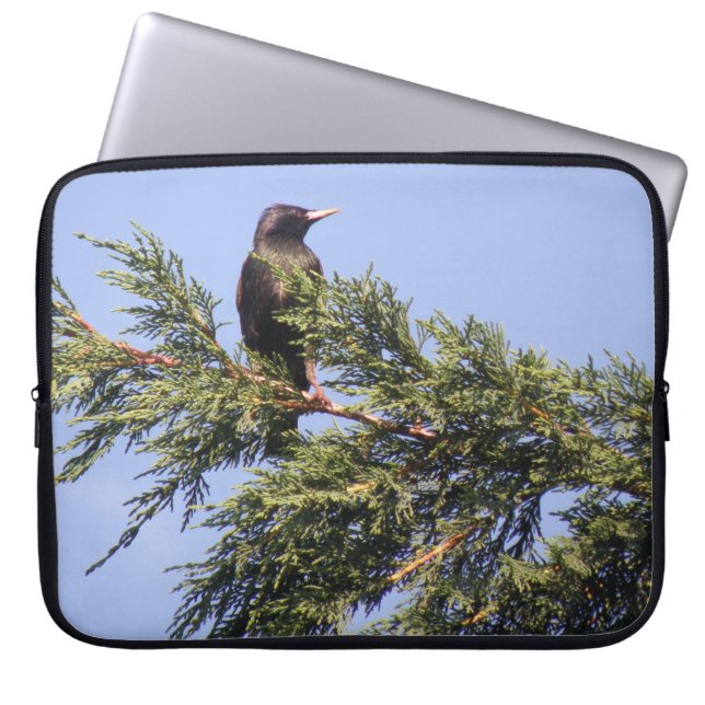 Starling in a Spruce Tree Laptop Bag (Front)
