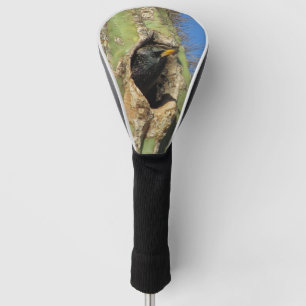 Starling in Saguaro Cactus Photo Southwest Bird Golf Head Cover