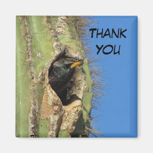 Starling in Saguaro Cactus Photo Southwest Bird Magnet