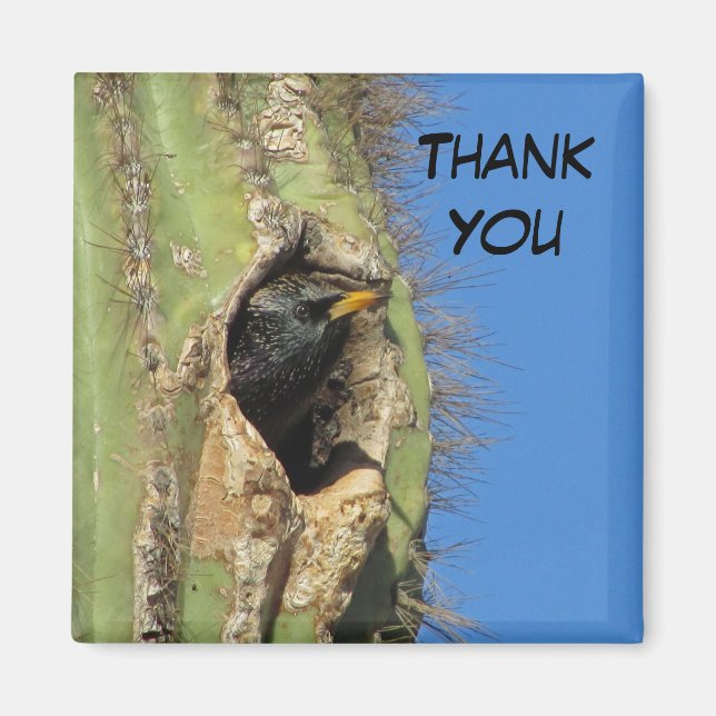 Starling in Saguaro Cactus Photo Southwest Bird Magnet (Front)