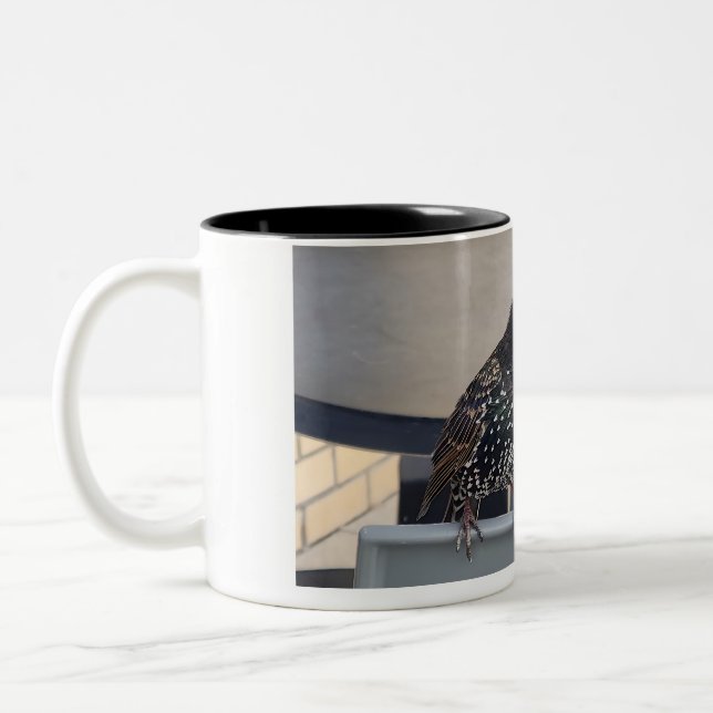 Starling Picture Two-Tone Coffee Mug (Left)