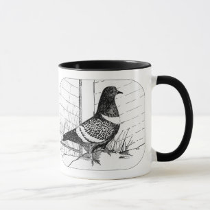 Starling Pigeon 1973 Mug