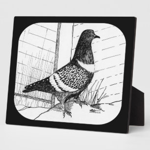 Starling Pigeon 1973 Plaque
