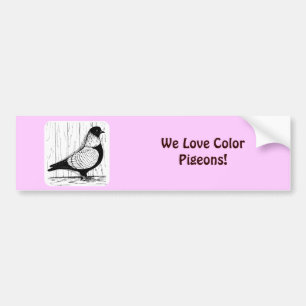 Starling Pigeon Silver-laced 1979 Bumper Sticker