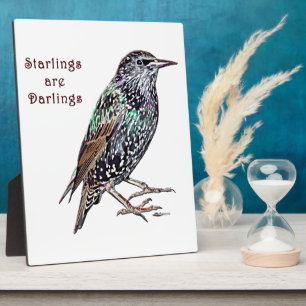 Starlings Are Darlings Plaque