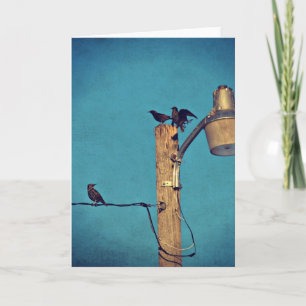 Starlings Card