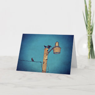 Starlings Card