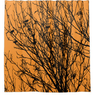 Starlings in a Tree - High Contrast - Light Orange Shower Curtain