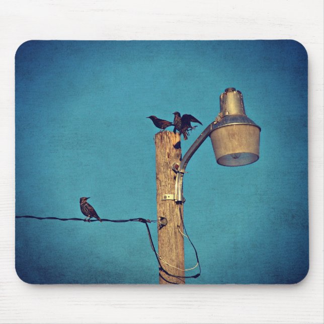 Starlings Mouse Pad (Front)
