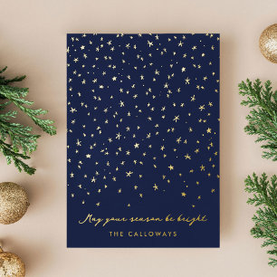 Starlit Sky Illustrated Gold Foil Holiday Card