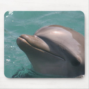 Starring a Dolphin Mouse Pad