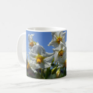 Starry flowers Solanum tuberosum  Coffee Mug