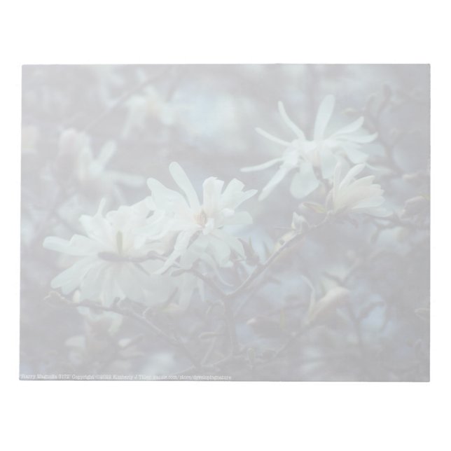 Starry Magnolia 3172 Notepad (Front)