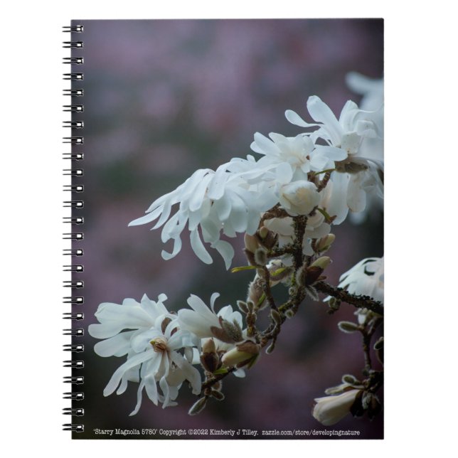 Starry Magnolia 5780 Notebook (Front)