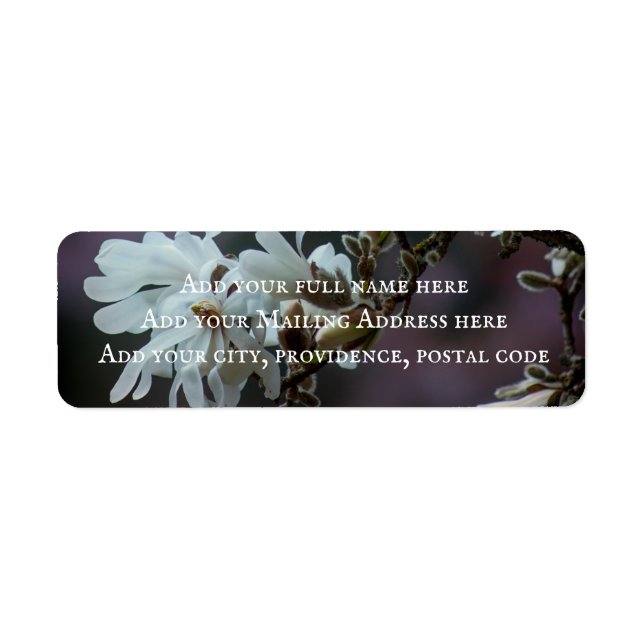 Starry Magnolia 5780 Return Address Label (Front)