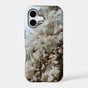 Starry Magnolia 5781