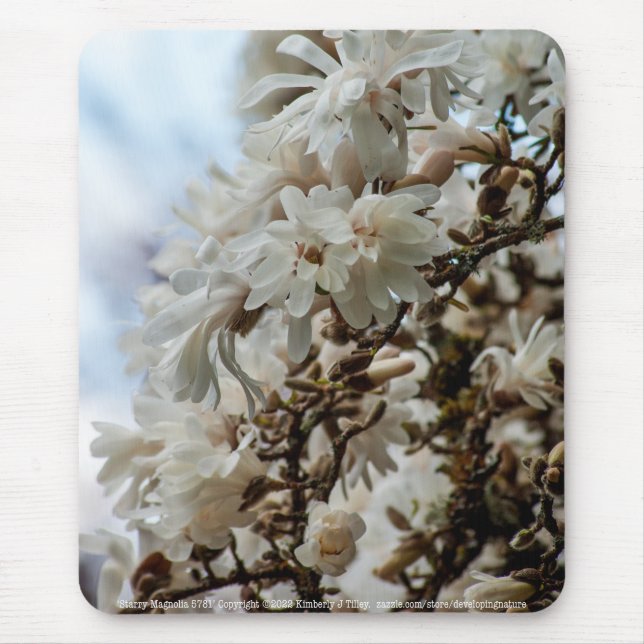 Starry Magnolia 5781 Mouse Pad (Front)