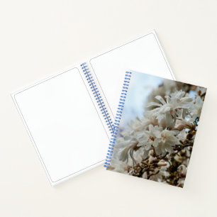 Starry Magnolia 5781 Notebook