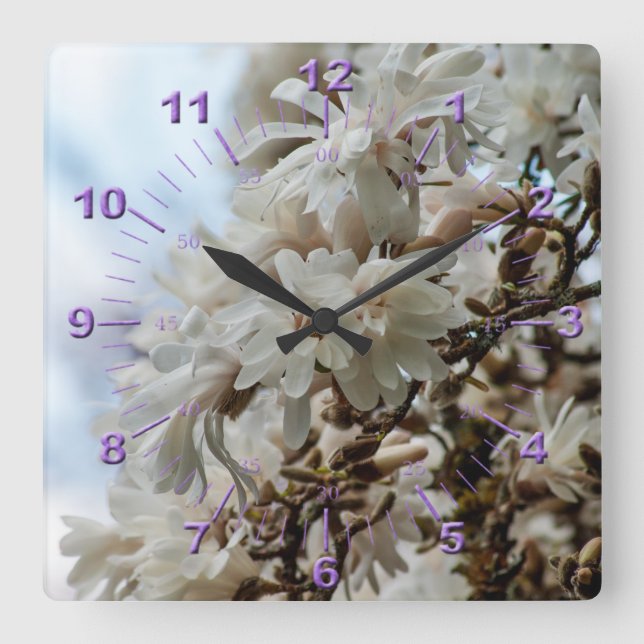 Starry Magnolia 5781 Square Wall Clock (Front)