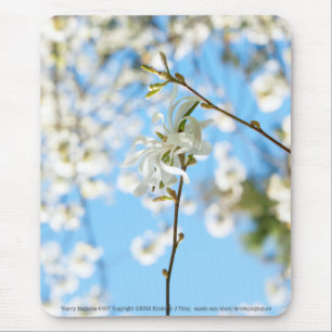 Starry Magnolia 6490 Mouse Pad