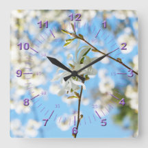 Starry Magnolia 6490